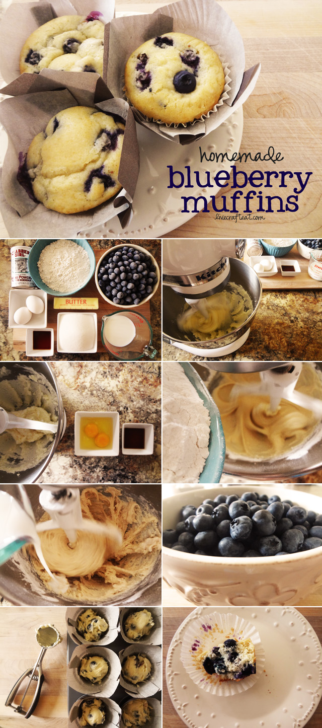 homemade blueberry muffin recipe