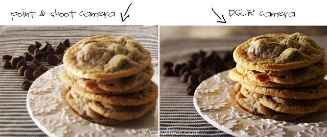 the cookie comparison - point & shoot camera vs. dslr camera