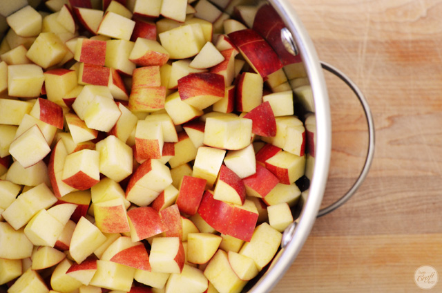 making homemade applesauce!