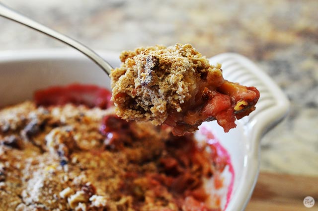 a spoonful of rhubarb crisp - dreamy!