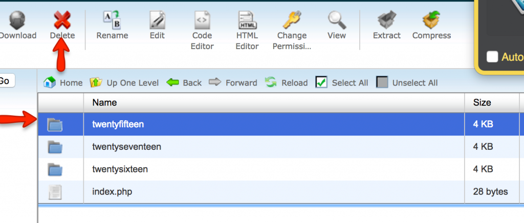 Deleting WordPress Themes from File Manager