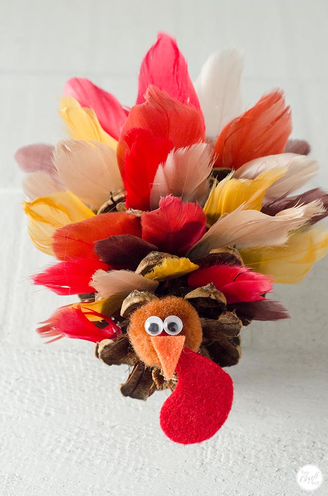 how-to-make-pinecone-turkeys-with-feathers-live-craft-eat